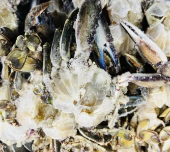 Masas de Bluecrab limpias 1lb