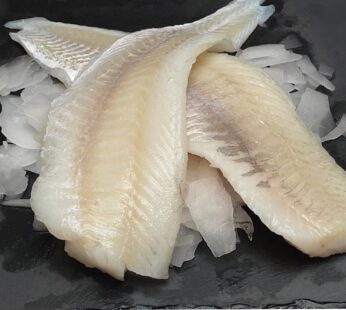 Filete de Bacalo sin Sal 5lb