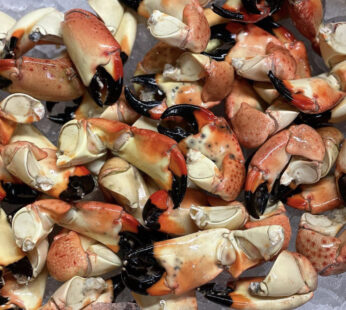 Stone crab muelas 5lb