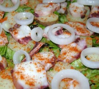 Pulpos en rueda (pack de 2.5lb)
